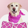 Breathe Easier with a 14x25x1 Air Filter — Perfect for Pets & Allergies